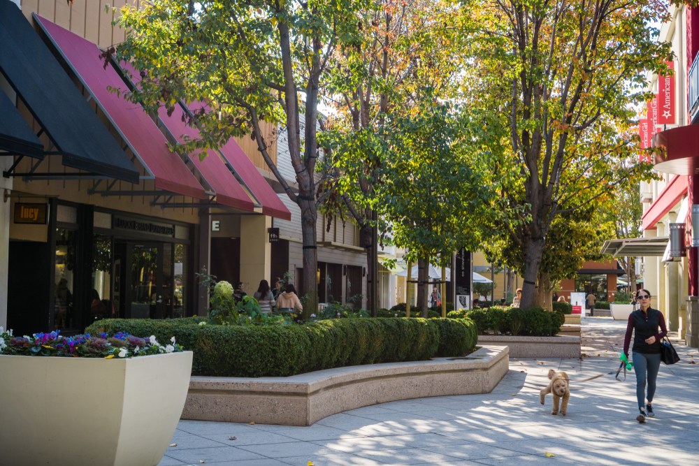 Courtyard Landscaping